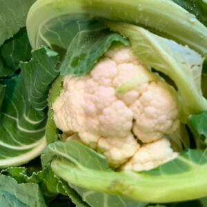 cauliflower