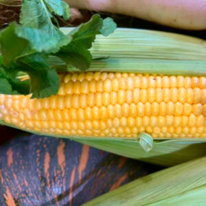 corn