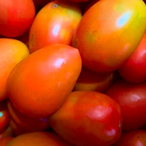 tomatoes
