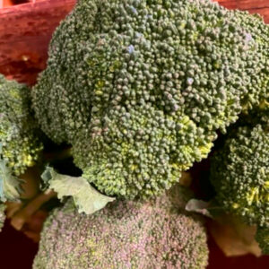 broccoli