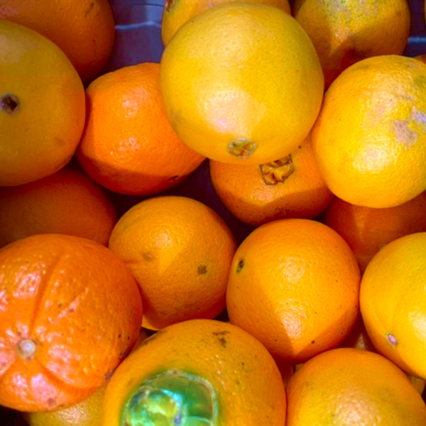 oranges