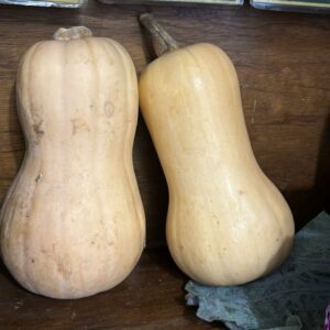 Butternut Pumpkin (per 250g)