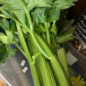 Celery (each)