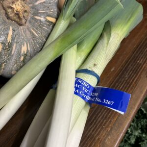 Leek (each)