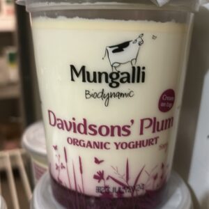 Davidsons' Plum Yoghurt (500g)
