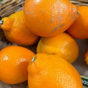Tangellos (per 250g)