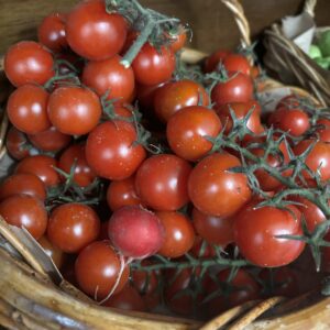 Truss Tomatoes